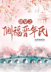 清穿之侧福晋又生了
